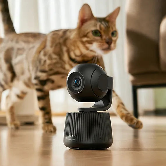 Can Cameras Detect Poop That Has Not Been Picked Up? Modern AI Monitoring Explained