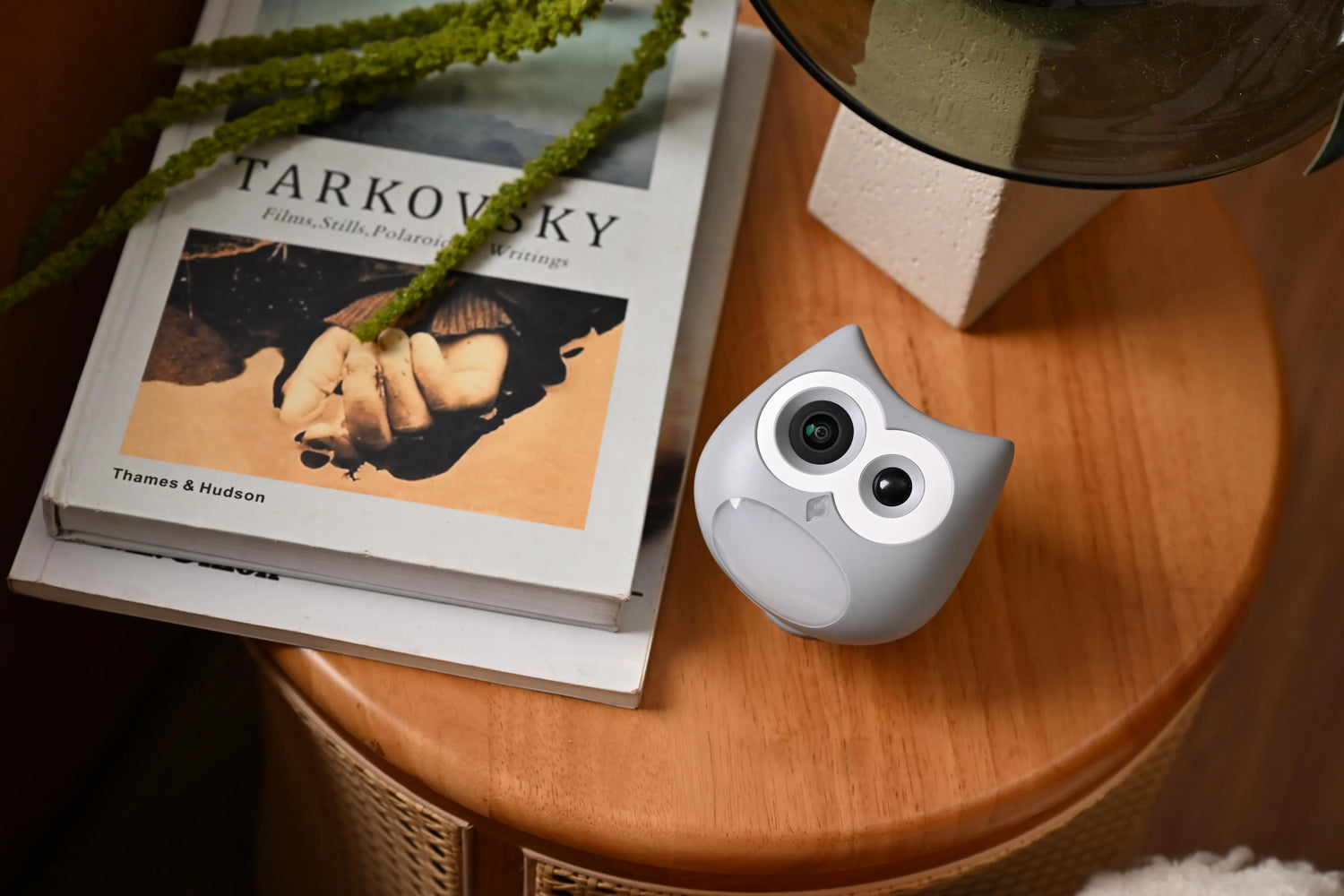 What Makes SiiPet the Best Pet Camera for Monitoring Pets?