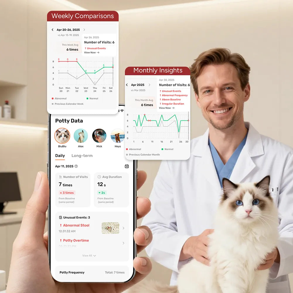 Person holding a smartphone displaying a pet care app with a veterinarian and cat in the background