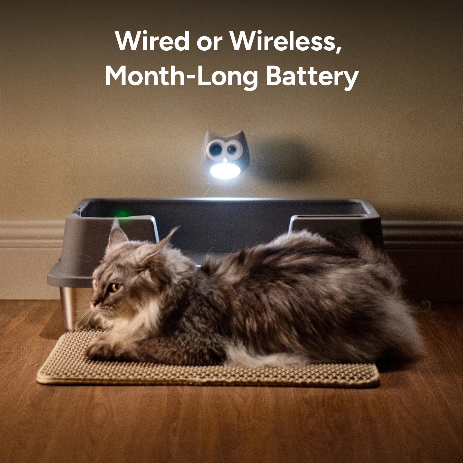 Buy PawTrack Get LitterLens Free - Valentine's Day BOGO Sale