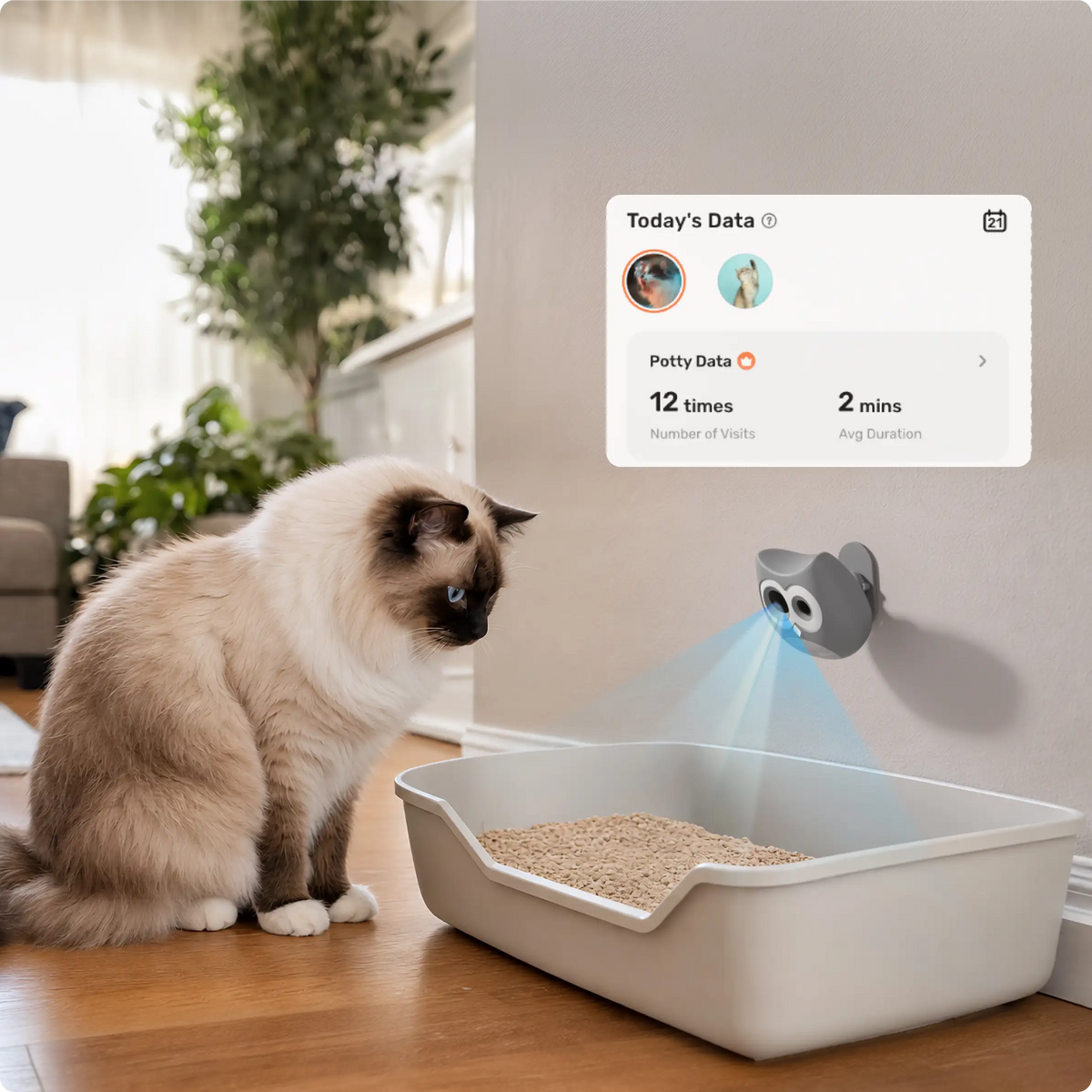 SiiPet LitterLens & PawTrack Pet Cameras Bundle for Health Monitoring