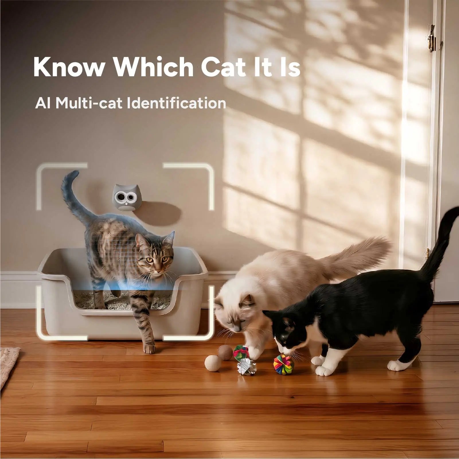 LitterLens x3 Bundle for Multi-Cat Health Monitor