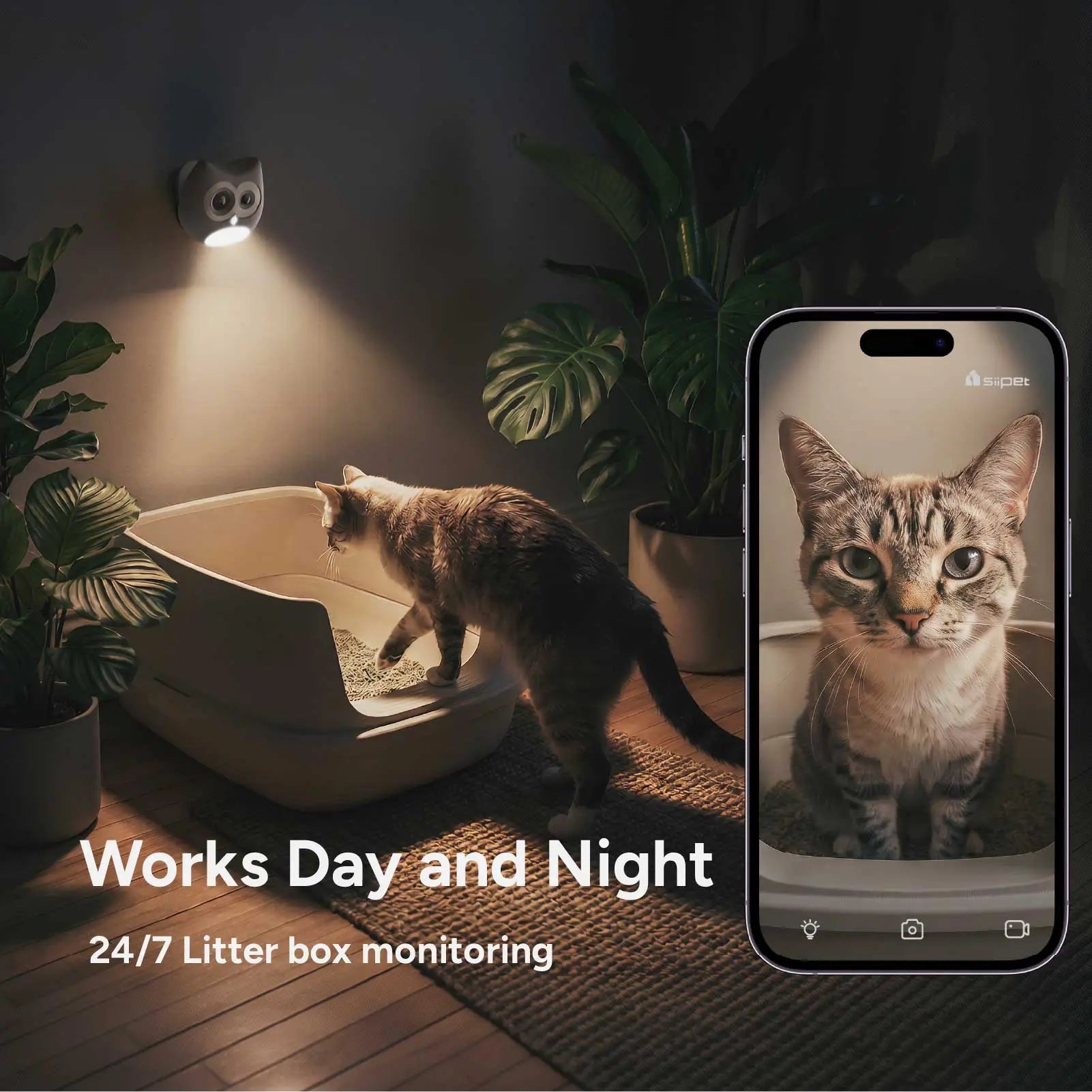 LitterLens x3 Bundle for Multi-Cat Health Monitor