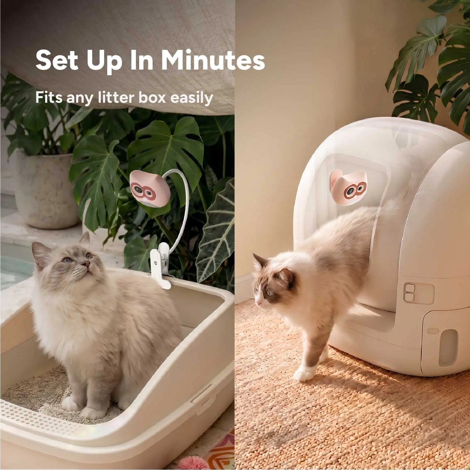 LitterLens x3 Bundle for Multi-Cat Health Monitor