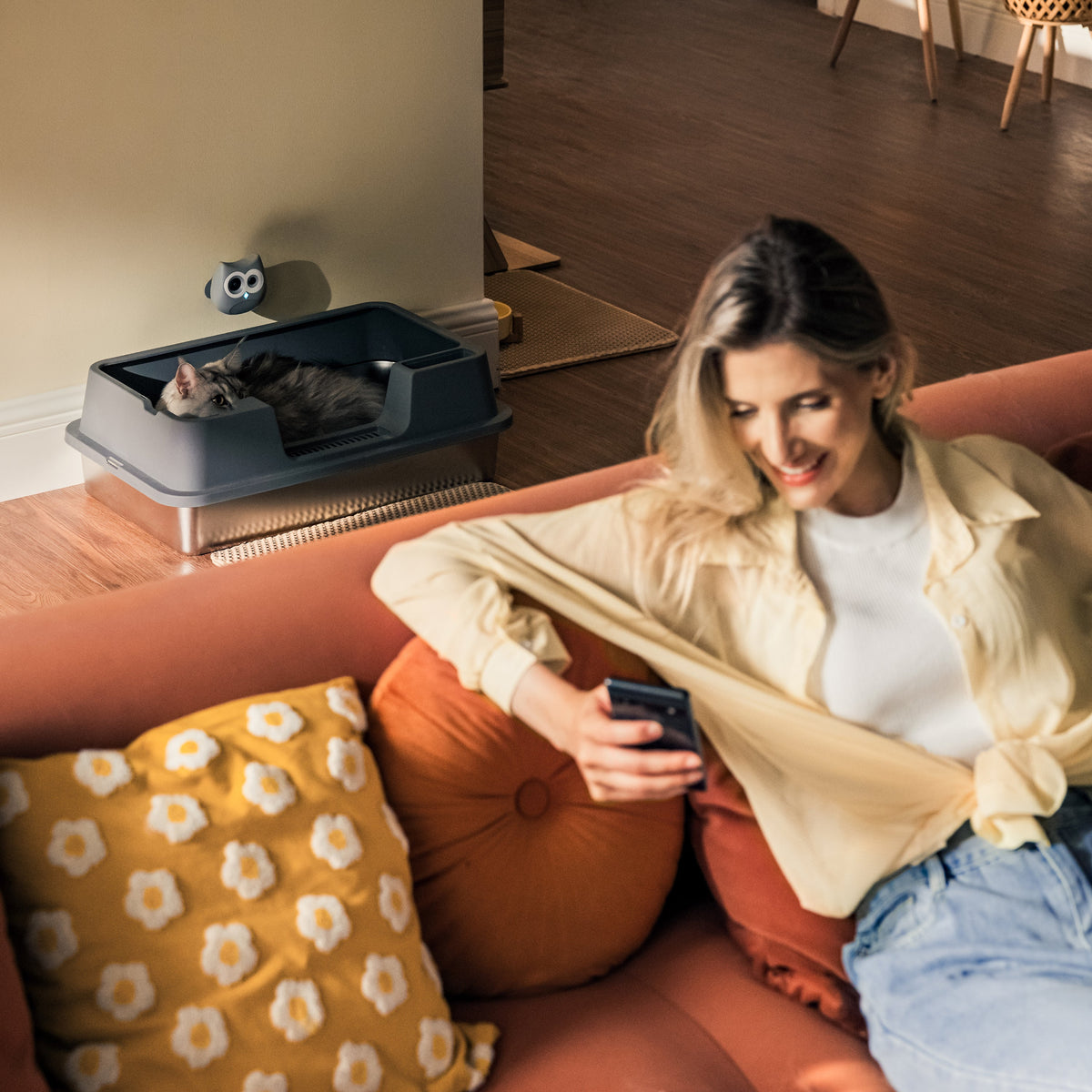 SiiPet LitterLens remote monitoring scene, lady watching her cat through smartphone at home