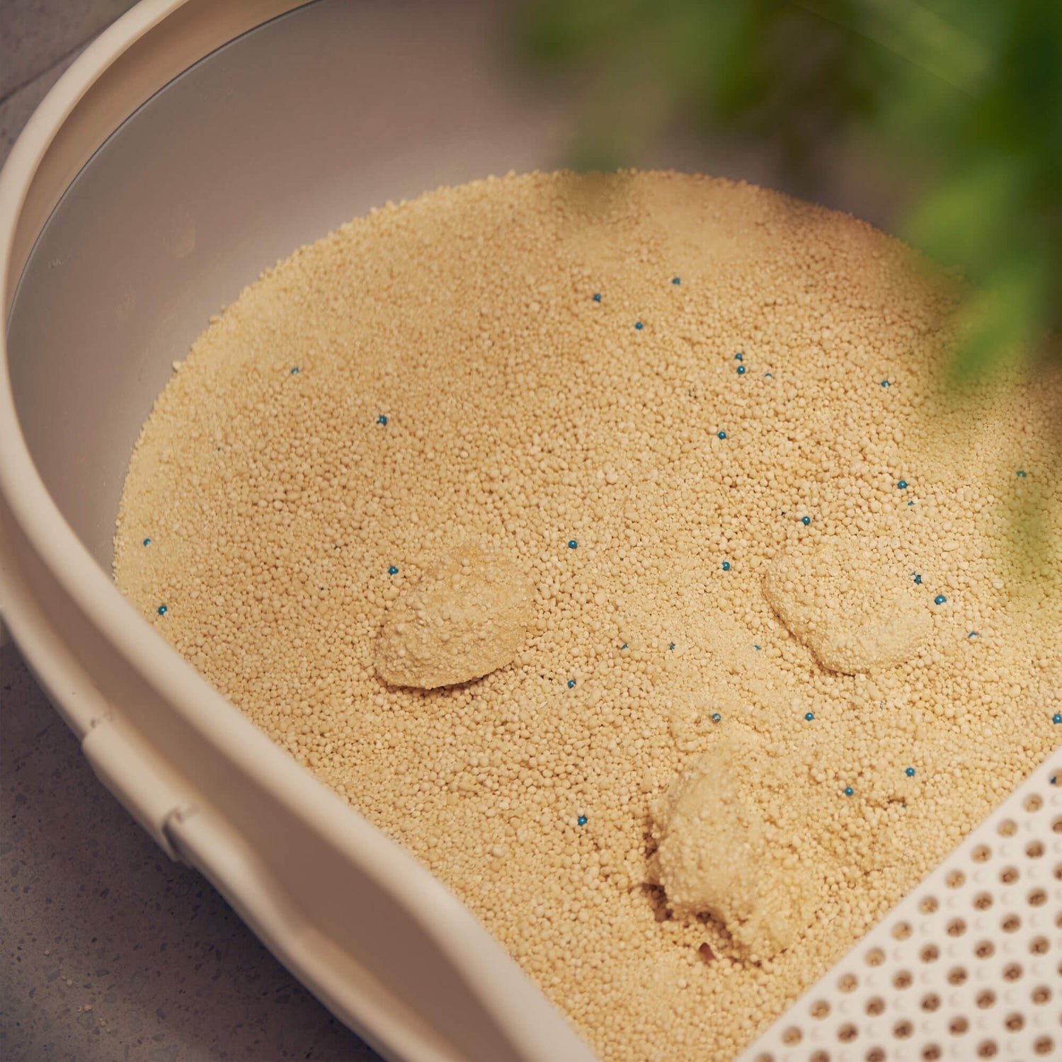 What Is the Best Health Monitoring Cat Litter?