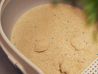 What Is the Best Health Monitoring Cat Litter?
