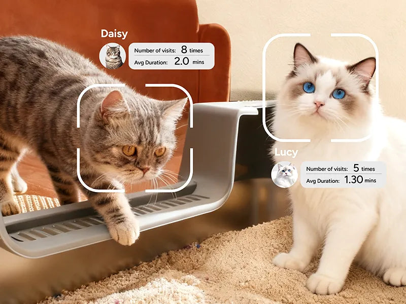 How Does a Litter Box Camera for Multiple Cats Identify Each Cat?
