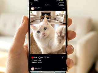 SiiPet LitterLens Review: Setup, App Experience, Pros, and Limitations