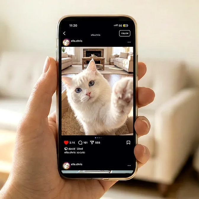 SiiPet LitterLens Review: Setup, App Experience, Pros, and Limitations