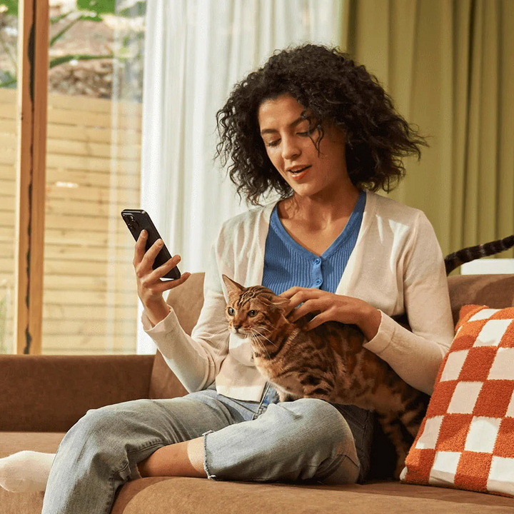 Senior Cat Care 101: Top Monitoring Tools for Digestion and Urinary Health