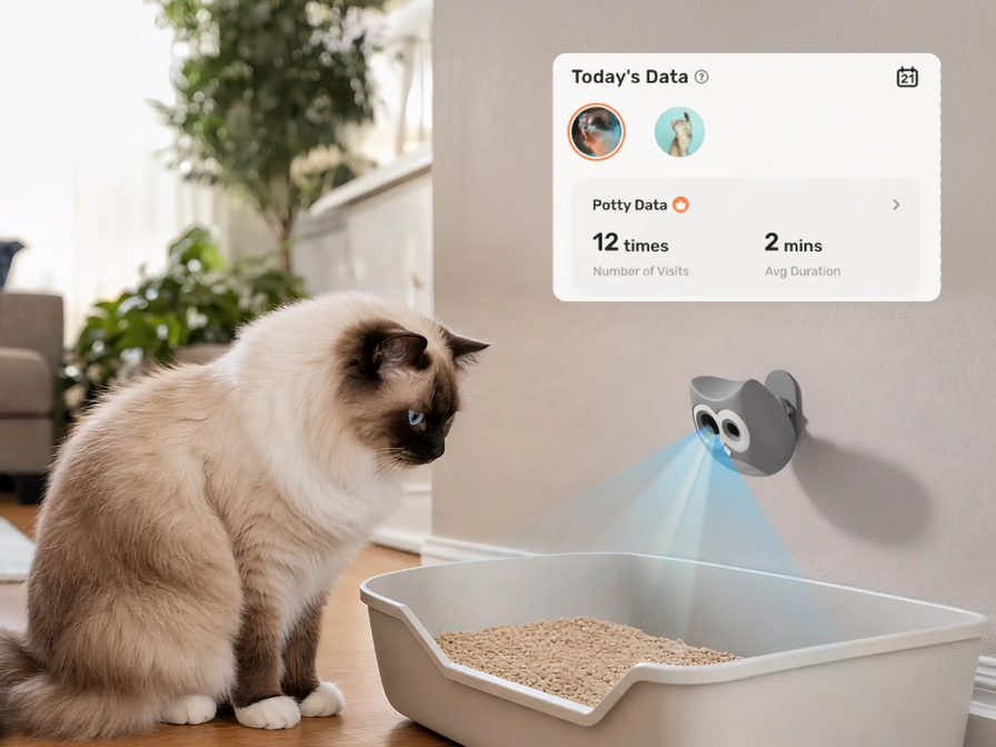 How Does Vet Remote Monitoring Software Help Vets Diagnose Cats Accurately?