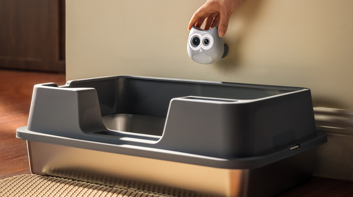 Product installation scene, SiiPet LitterLens camera being placed on wall beside large litter box