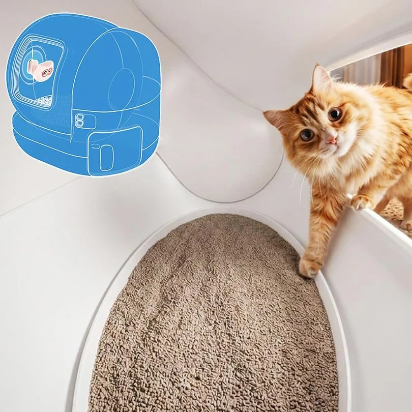 Why Smart Litter Box Health Monitors Are Going Viral in 2026