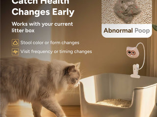 How to Use a Cat Fecal Score Chart and Why a Stool Photo Is Not Enough for a Vet