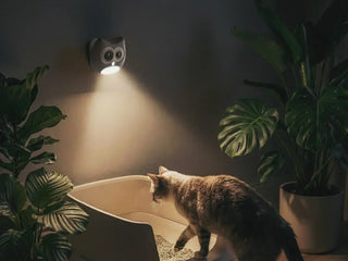 SiiPet LitterLens vs. Litter-Robot 5 Pro: Is a Pet Camera Enough for Litter Box Health Monitoring?