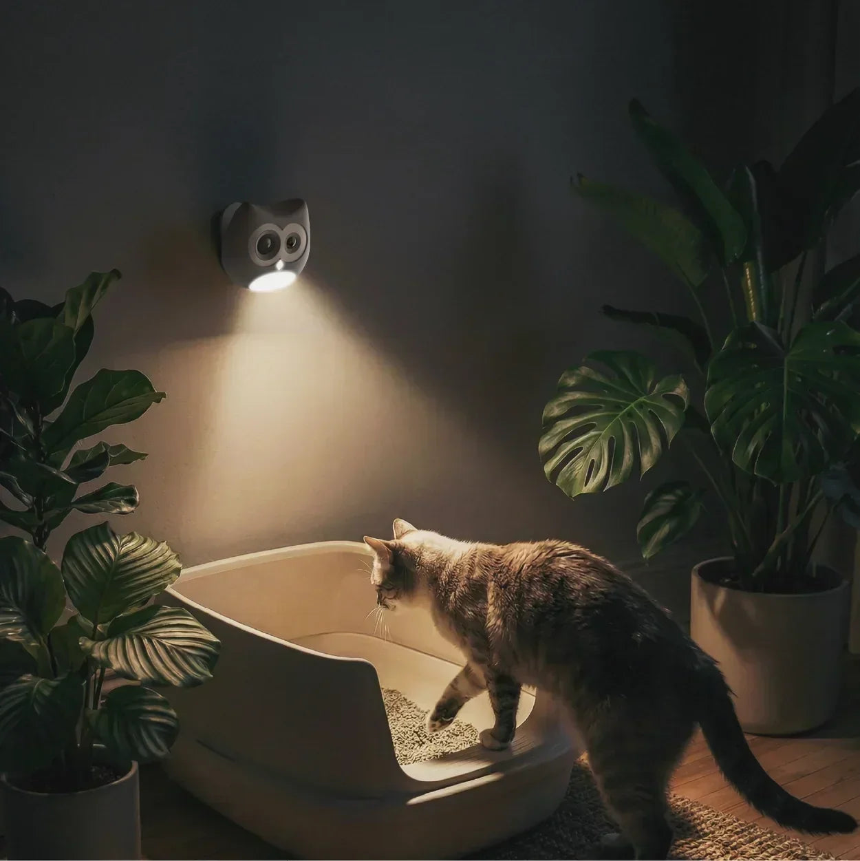 SiiPet LitterLens night‑vision monitoring camera, tabby cat entering litter box at night