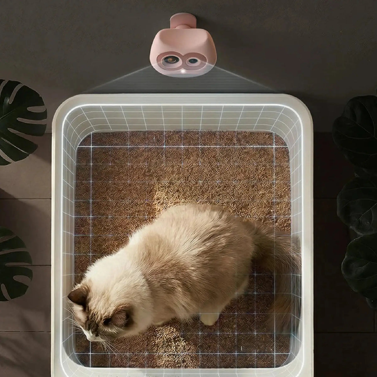 Why Smart Litter Box Health Monitors Matter in 2026