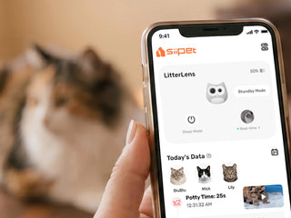 What Is the Best Pet Monitor App for AI Cat Health Tracking?
