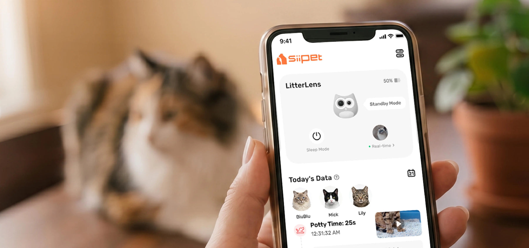 What Is the Best Pet Monitor App for AI Cat Health Tracking?