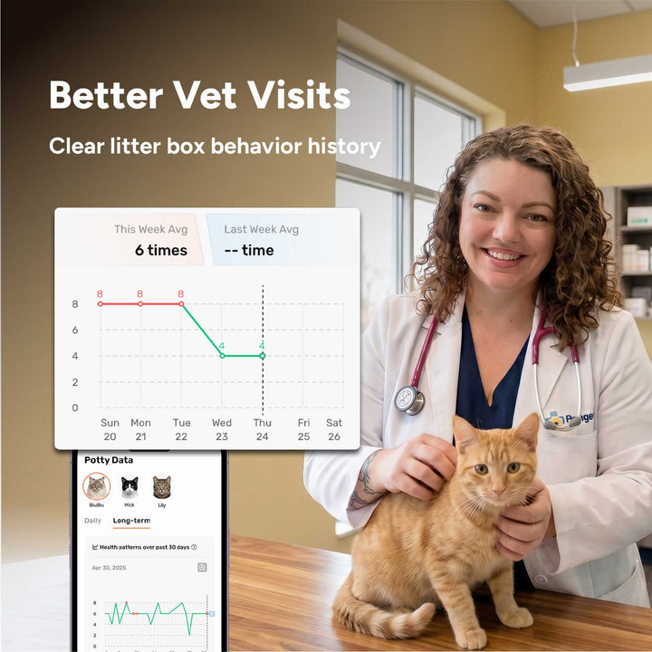 Cat owner showing a dated stool photo and litter box timeline to a veterinarian during a checkup