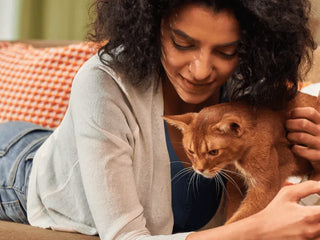 Best Smart Litter Box Monitor: SiiPet LitterLens vs. Litter-Robot 5 Pro vs. PETLIBRO Luma