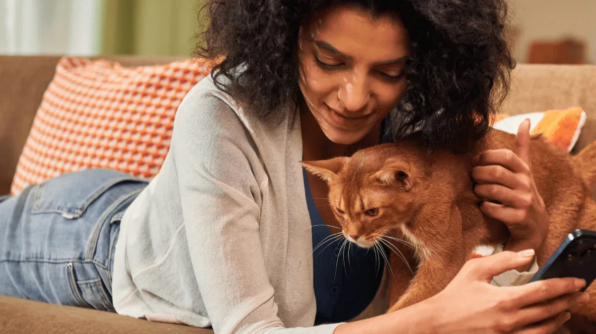 A woman lying on a sofa with an orange tabby cat while looking at her phone