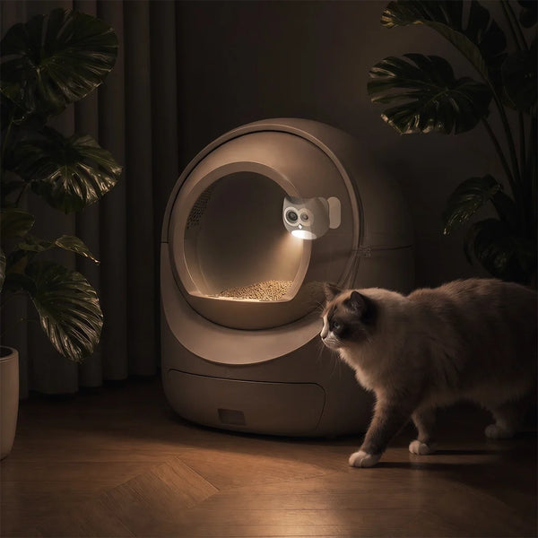 SiiPet LitterLens vs. Litter-Robot 5 Pro: Is a Pet Camera Enough for Litter Box Health Monitoring?