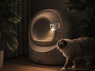 Will a Litter Box Camera Work With a Covered Litter Box?