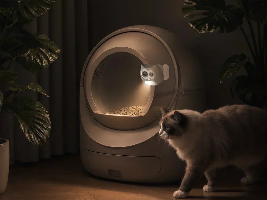 Will a Litter Box Camera Work With a Covered Litter Box?