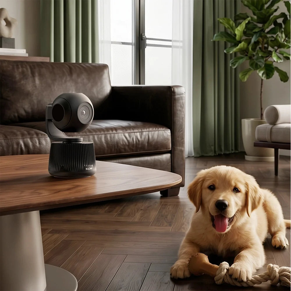 Home pet monitoring camera, golden retriever dog resting in front of indoor security camera