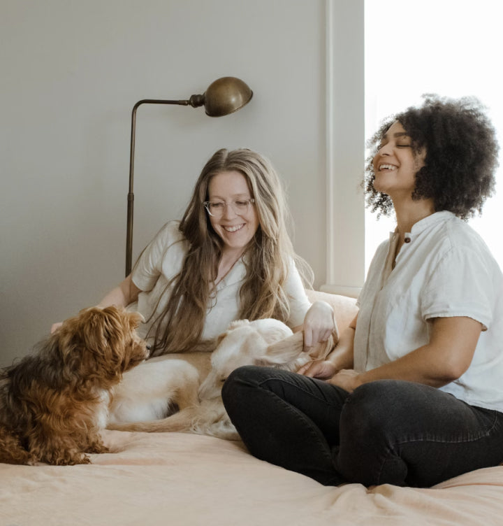 What Is the Best Dog Health Monitor for Early Disease Detection?