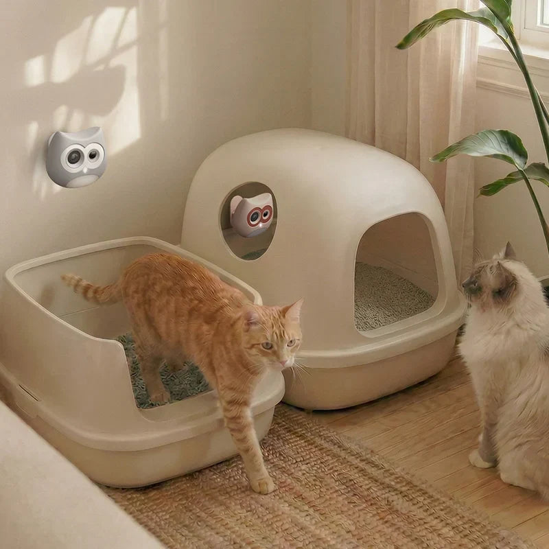 Multi style SiiPet LitterLens setup, orange tabby cat stepping out of open litter box at home