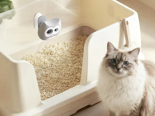 SiiPet LitterLens vs. eufy Indoor Cam S350: Which Cat Camera Is Better for Tracking Cat Habits?