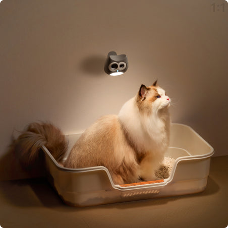 SiiPet LitterLens owl‑style litter box camera with night light mounted on wall, Ragdoll cat sitting inside litter box in dim indoor environment