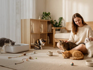 4 Essential Summer Cat Care Tips: Prevent Heatstroke & UTI