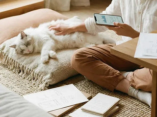 What Does Mucus in Cat Poop Mean? Clear, Bloody, and Diarrhea-Related Changes