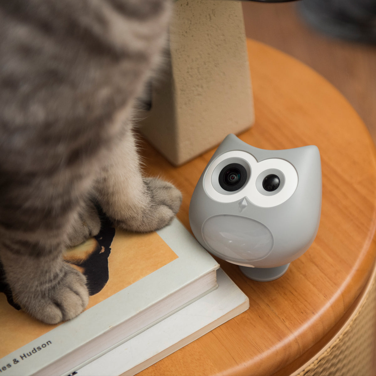 cats health monitoring