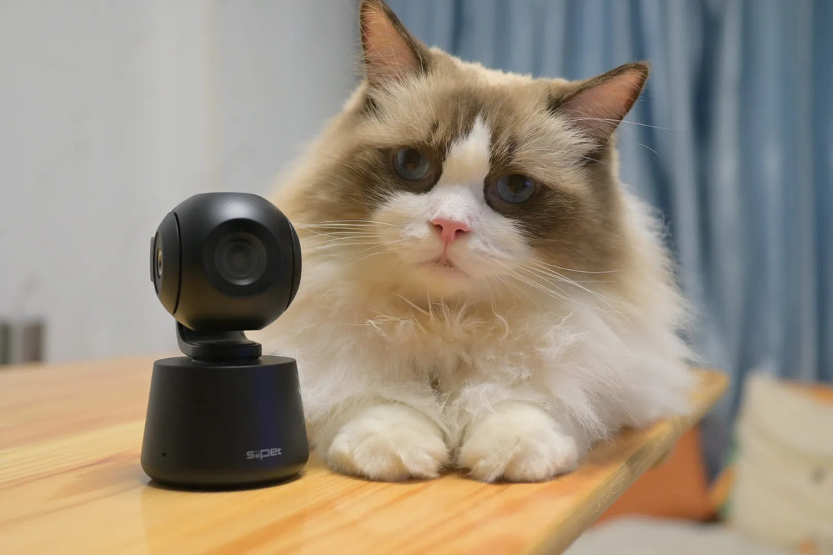 PawTrack Camera