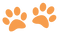 Paw Icon