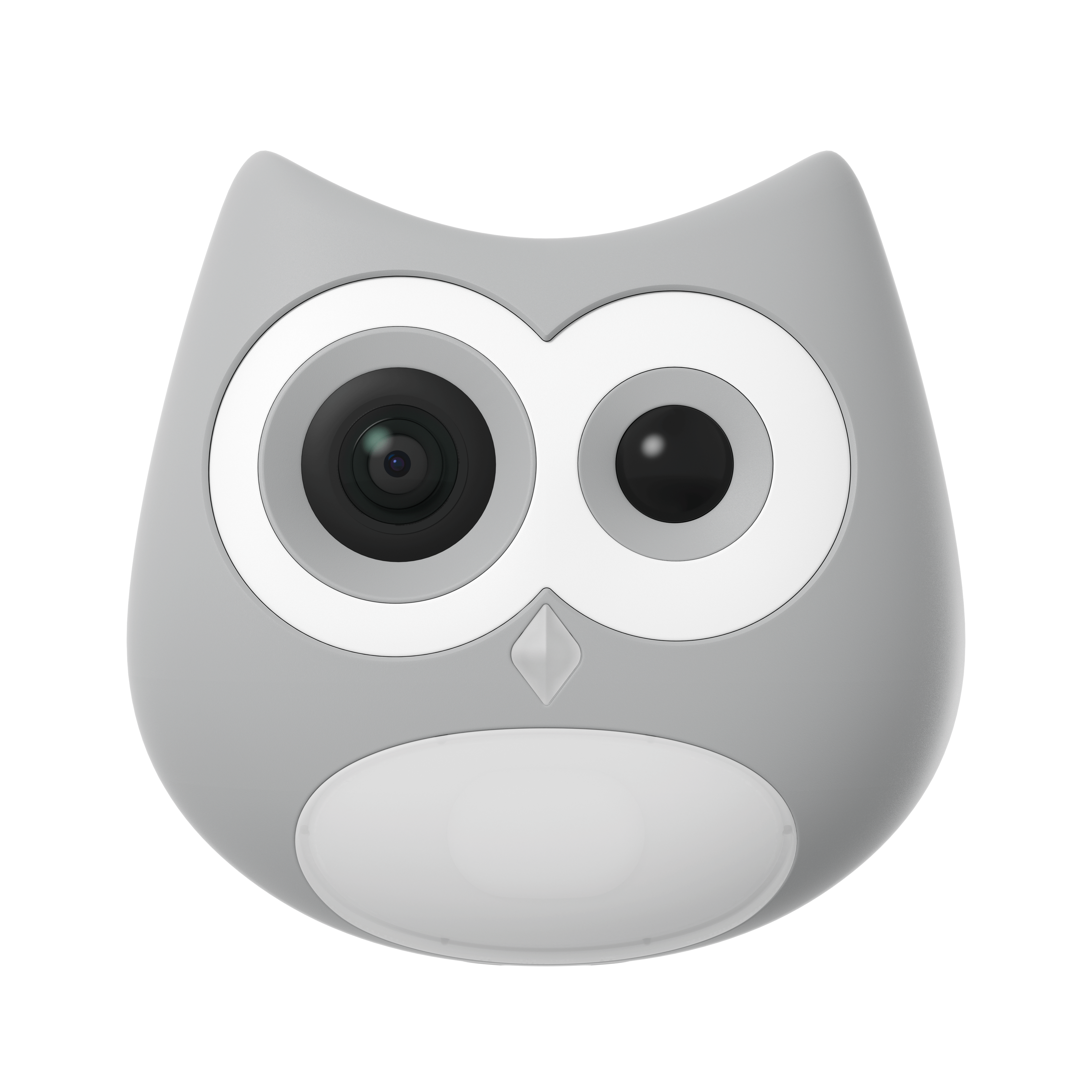 LitterLens Camera (test)
