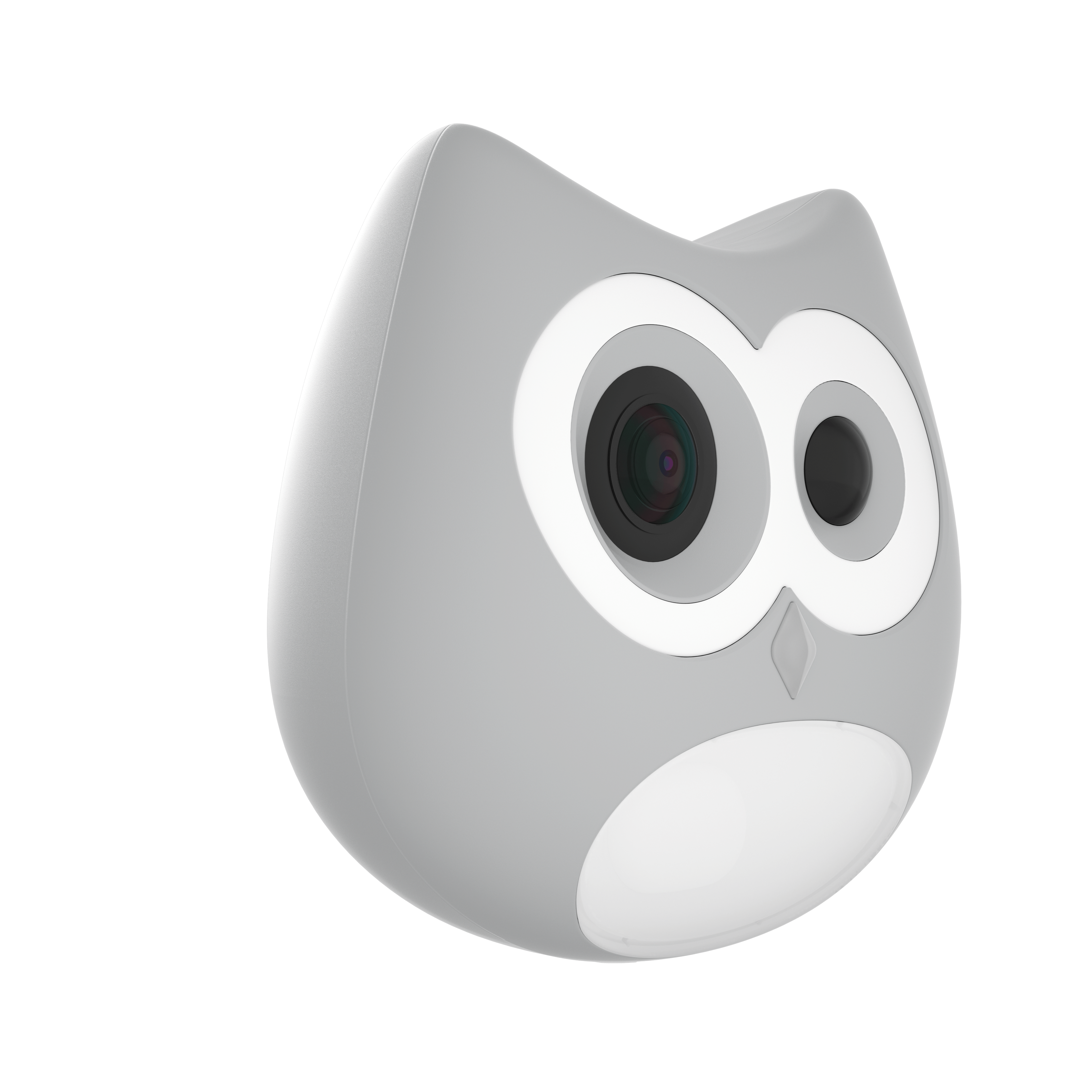 LitterLens Camera (test)