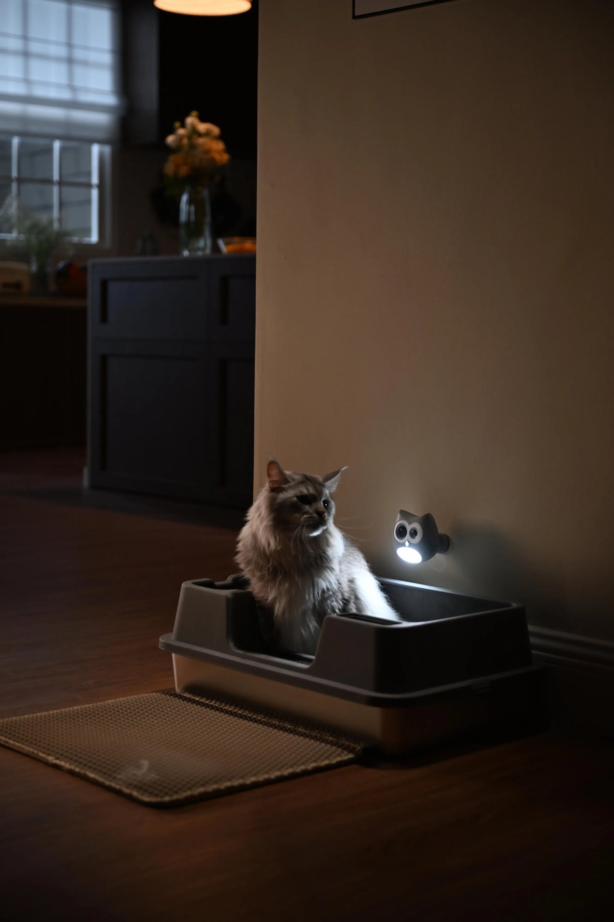 SiiPet LitterLens Litter Box Camera for Health Monitoring