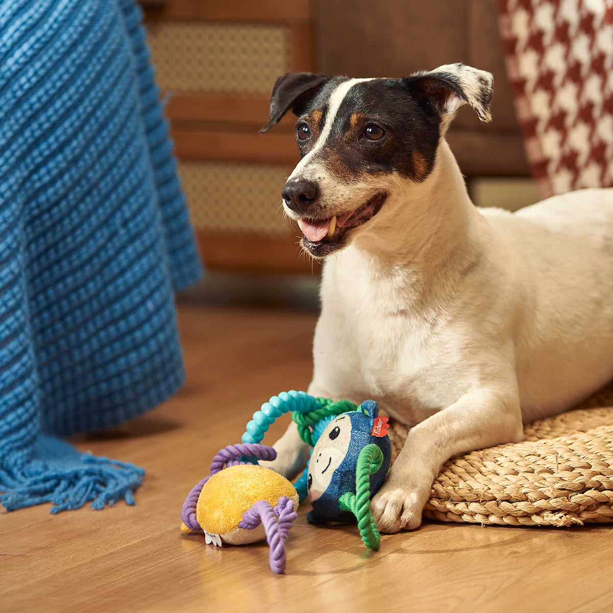 SiiPet PawTrack AI Camera