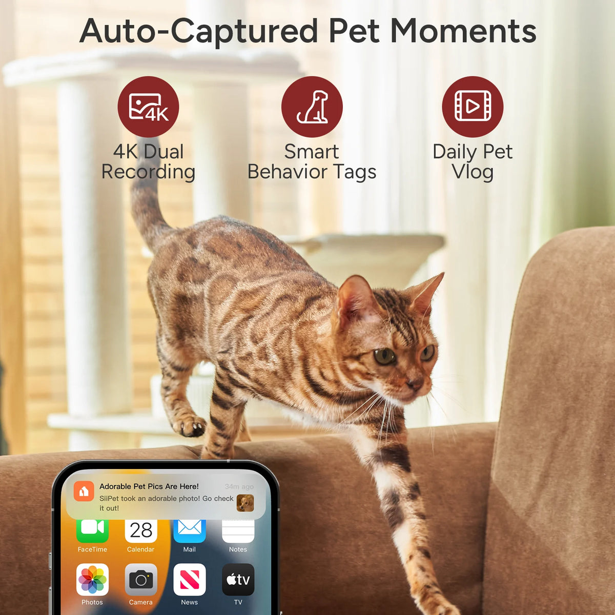 SiiPet PawTrack AI Pet Camera with Auto Tracking & 360° Pan