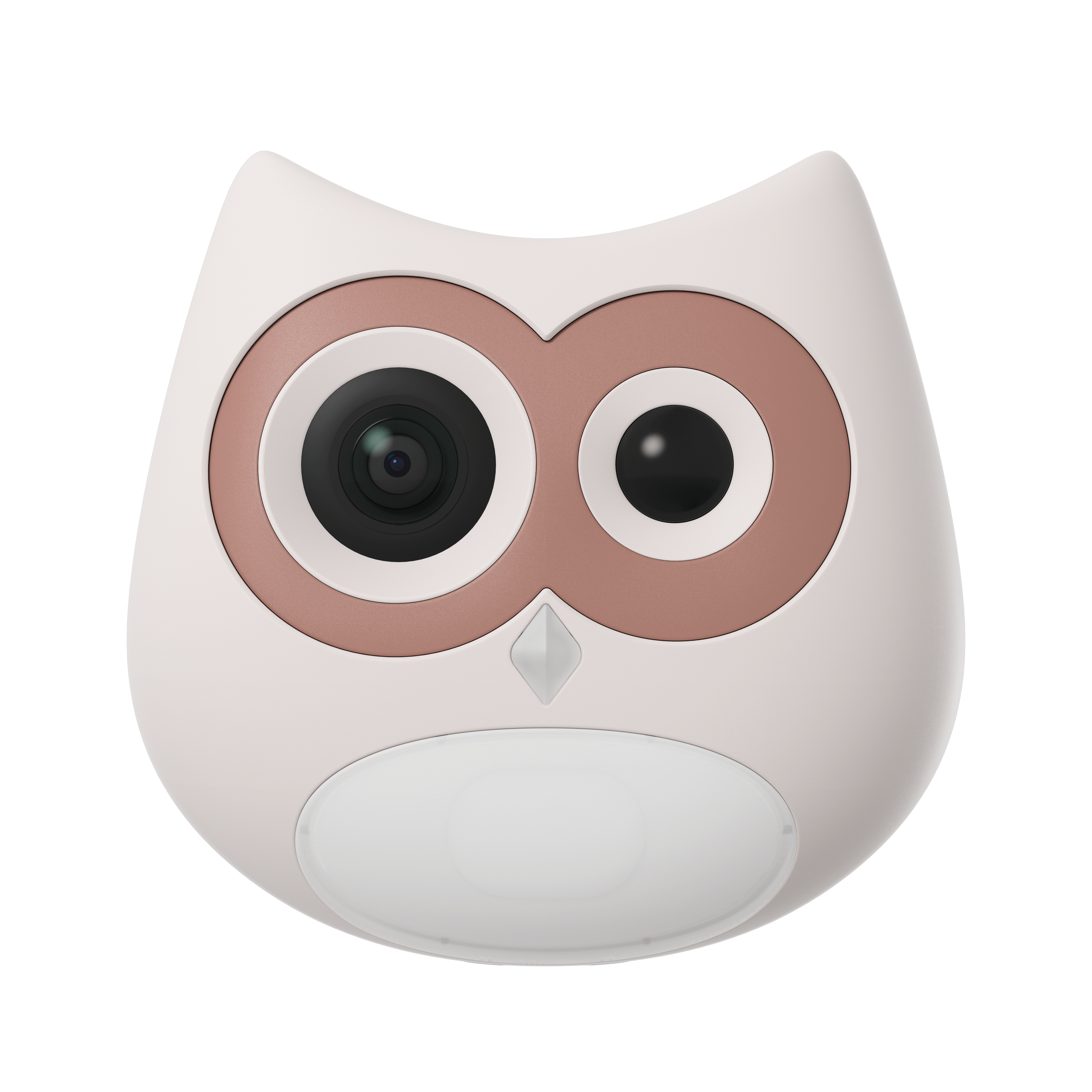 LitterLens Camera (test)
