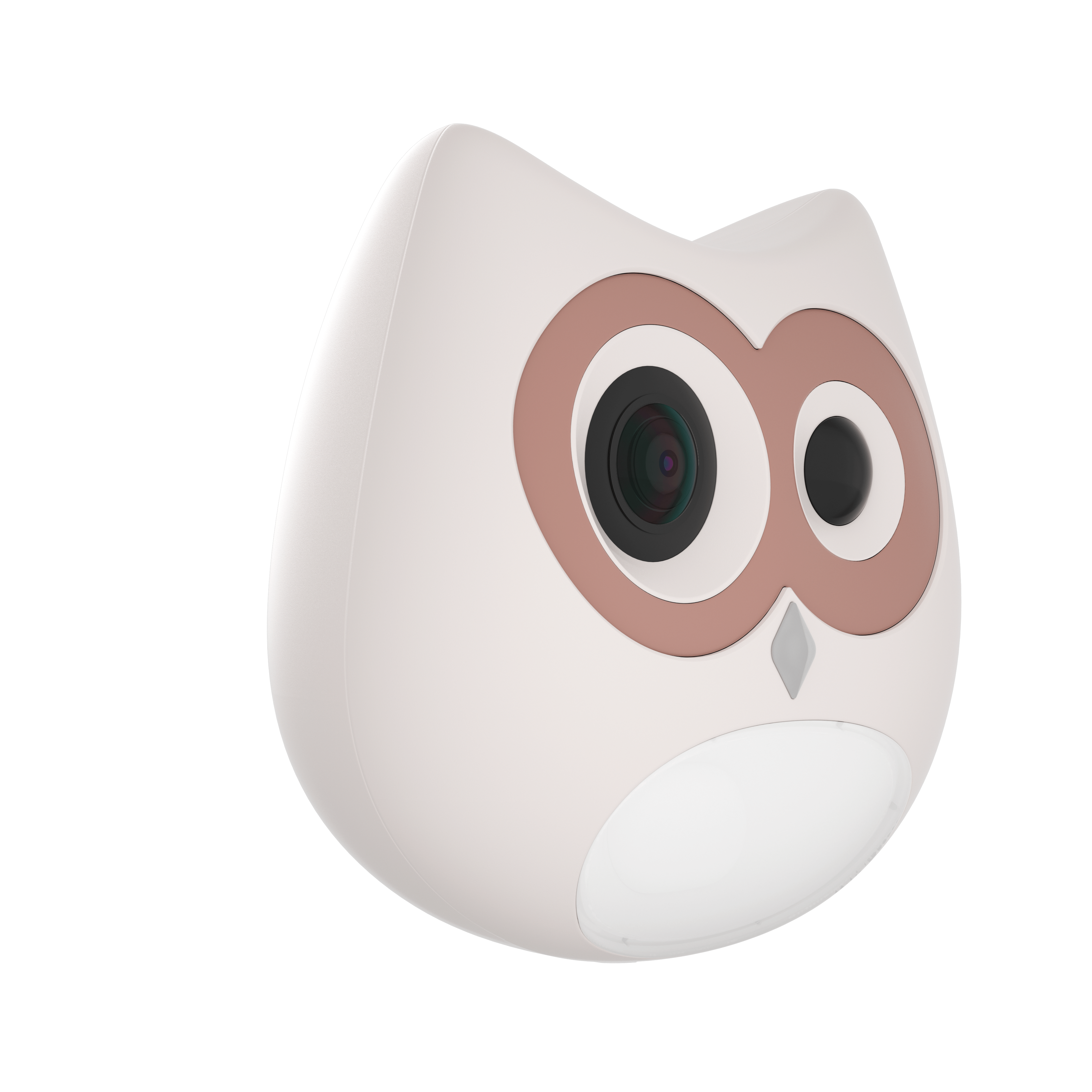 LitterLens Camera (test)