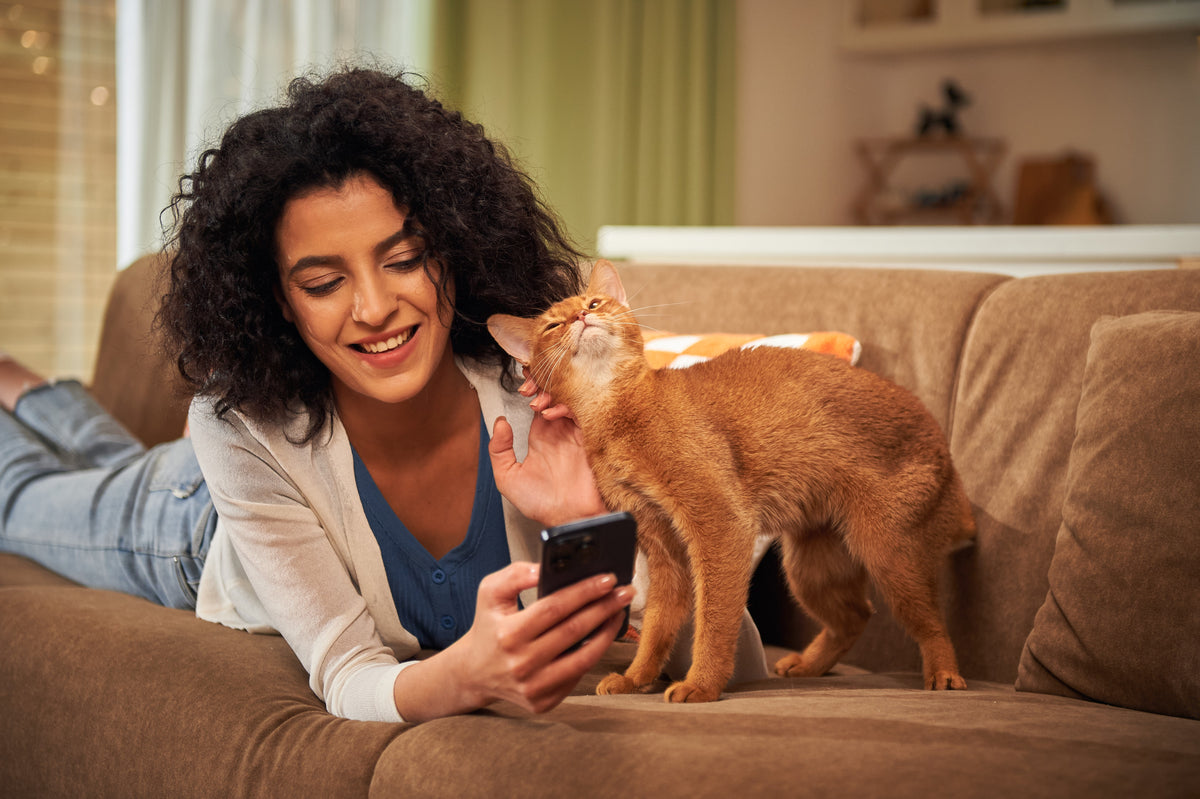 AI Cat Litter Box Camera & Pet Health Monitor | SiiPet