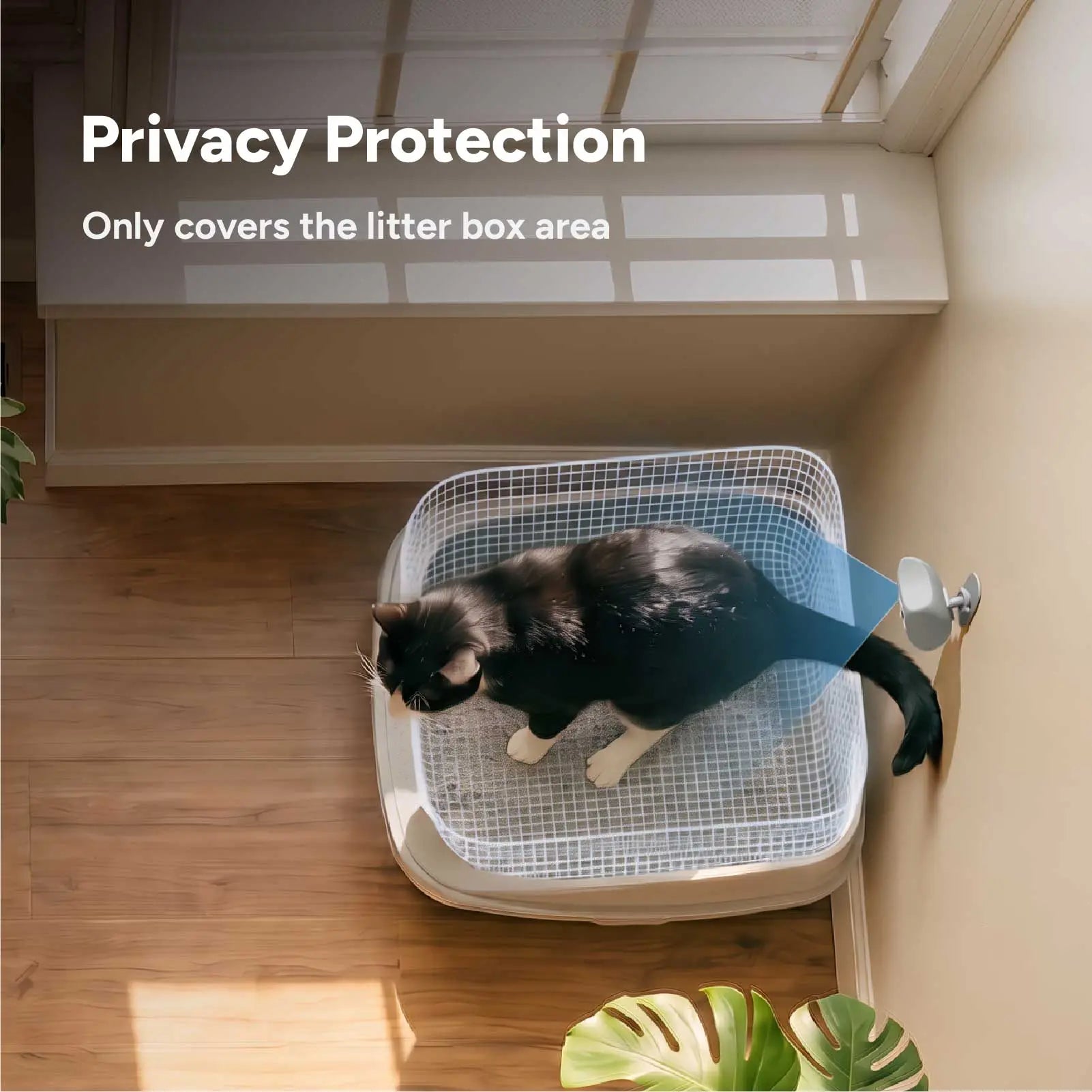 SiiPet LitterLens Litter Box Camera for Cat Health Monitoring