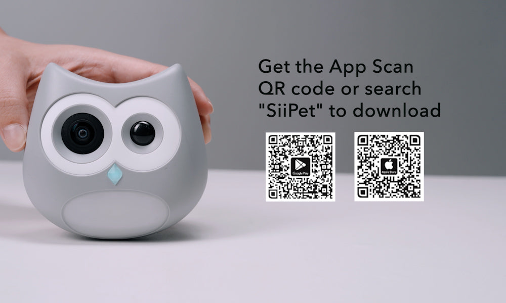 Download the App